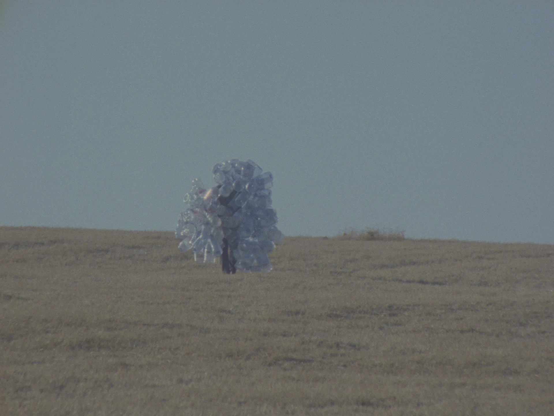 shot 2 from movie In Praise of Slowness by Hicham Gardaf