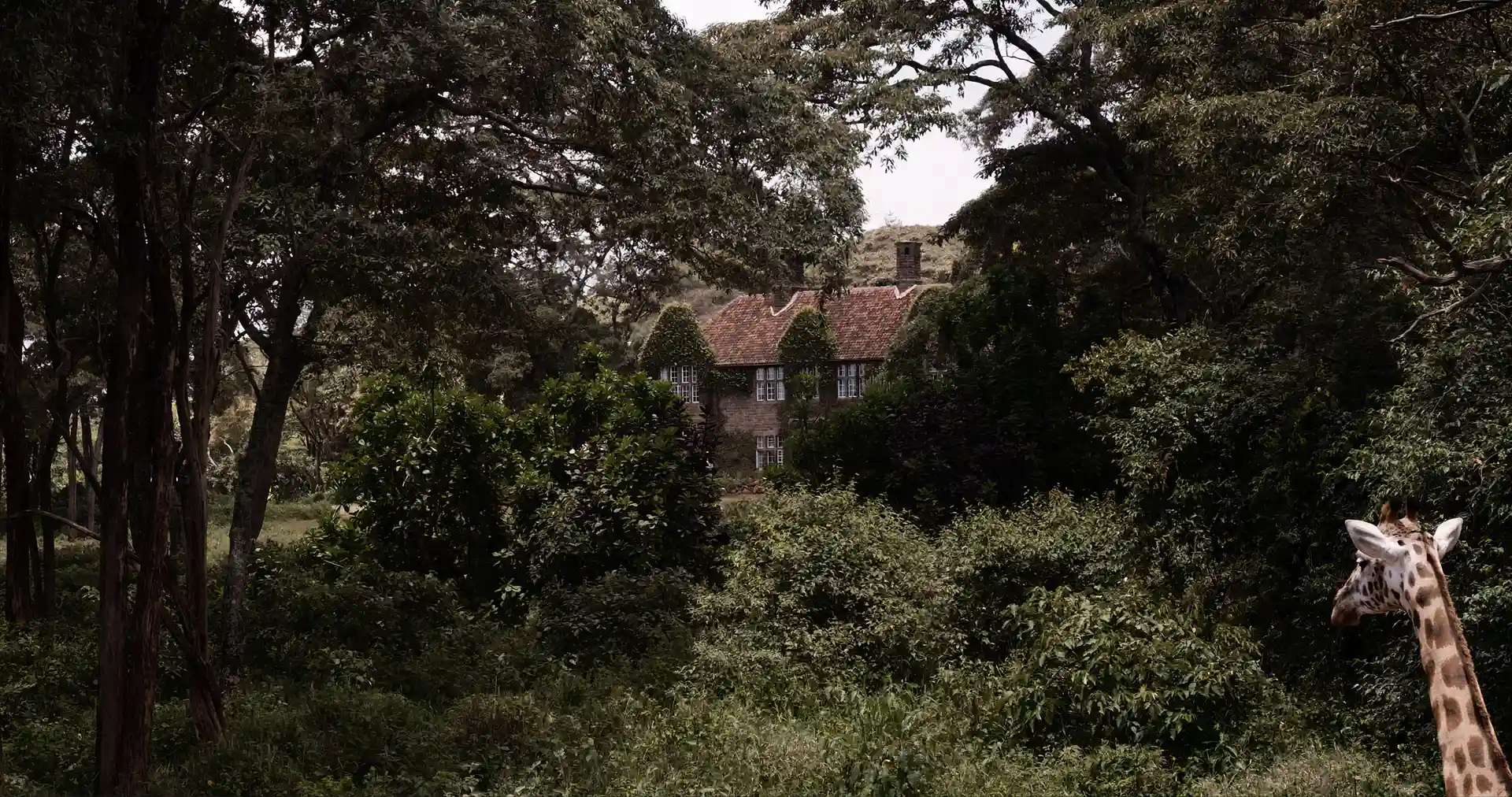 shot 1 from movie sr by Lea Hartlaub