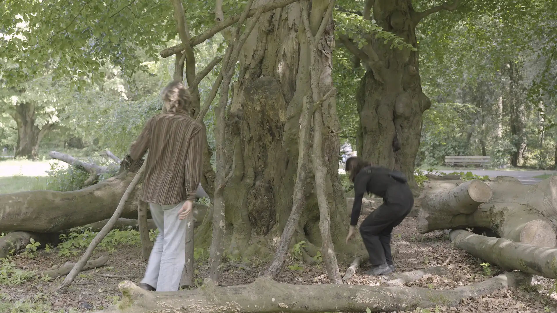 shot 4 from movie The Southern Thruway by Susanna Tomassini