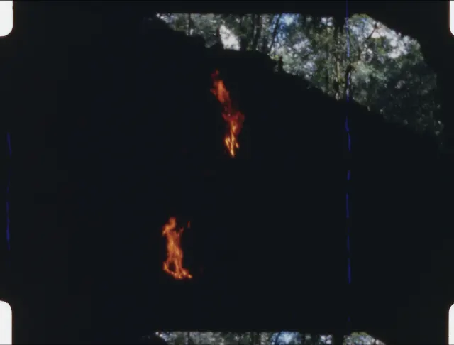 Shot from movie Expedition Content by Ernst Karel en Veronika Kusumaryati