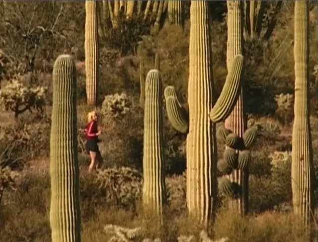 Shot from movie Love-22-Love by Jeroen Kooijmans
