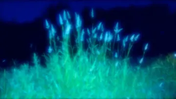 Shot from movie Surge of Transference by Geo Barcan