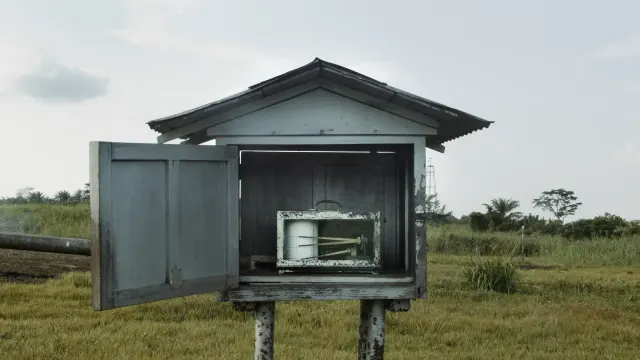 Shot from movie Tree of Authenticity by Sammy Baloji