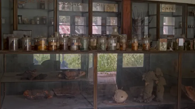 Shot from movie Tree of Authenticity by Sammy Baloji