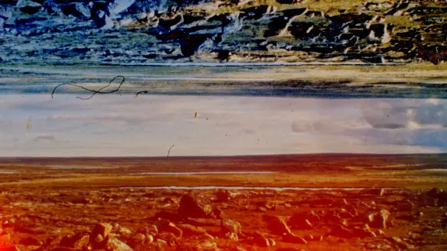 Shot from movie Tuktuit: Caribou by Lindsay Aksarniq McIntyre