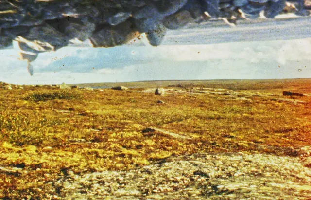 Shot from movie Tuktuit: Caribou by Lindsay Aksarniq McIntyre