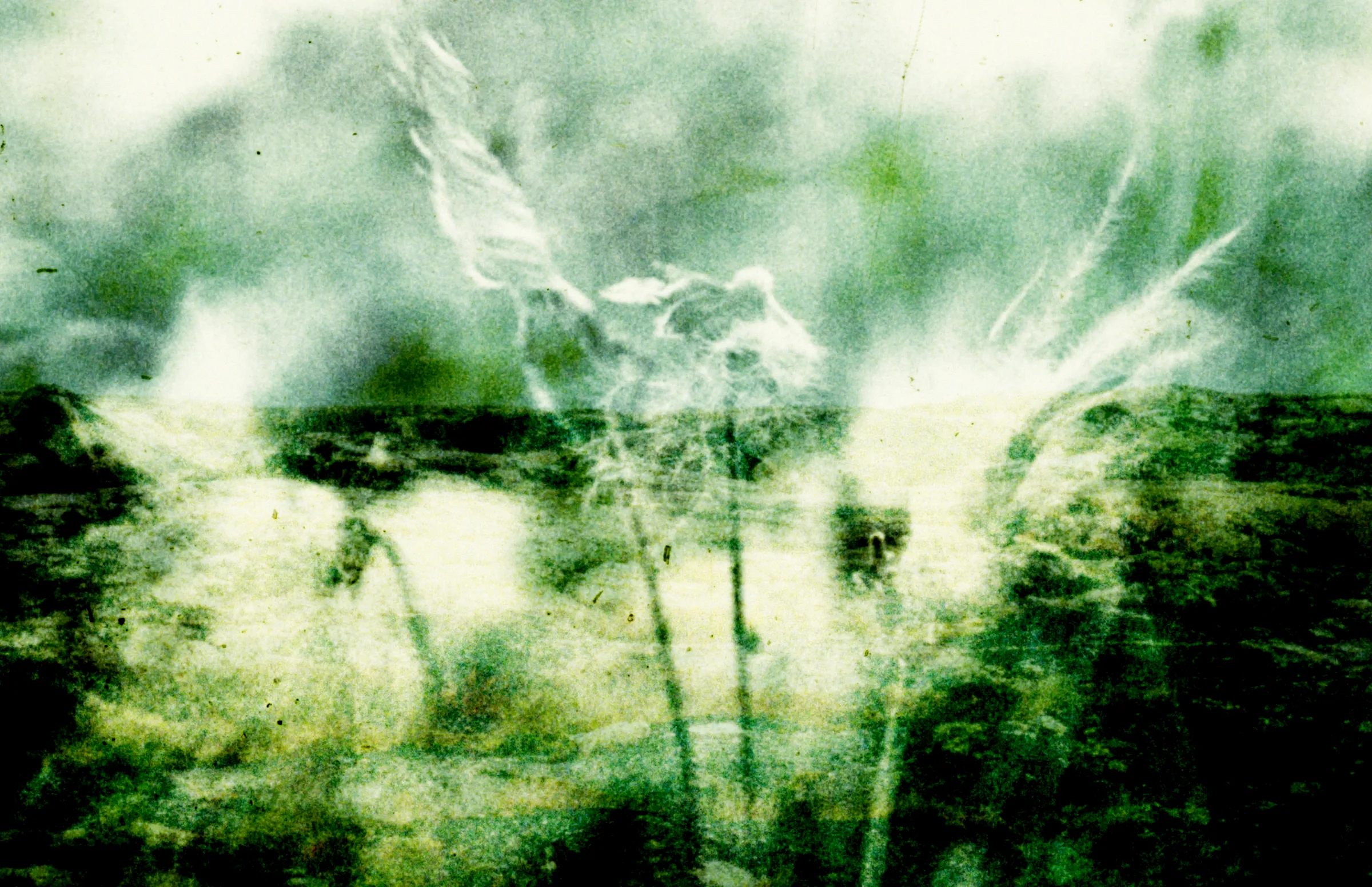 Still from the film Tuktuit: Caribou by Lindsay Aksarniq McIntyre
