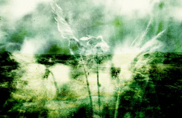 Shot from movie Tuktuit: Caribou by Lindsay Aksarniq McIntyre